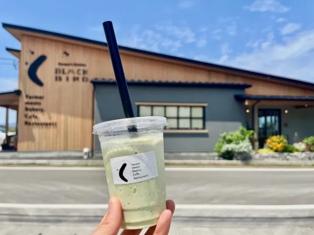 新潟・夏の風物詩「枝豆」や農業の魅力を発信する「Farmer’s kitchen BLACKBIRD」で、「おいしい」の背景に感動！／新潟市