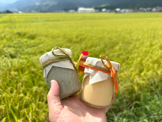 新潟土産のニューフェイス現る!コメ農家が本気で作った極上プリン「越後おこめぷりん」を黄金の田んぼを見ながら食べてみた!/南魚沼市