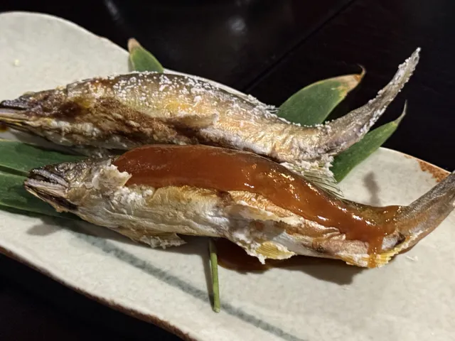 【魚沼】清流に立ち、命を食す。究極の没入型ガストロノミー体験/魚沼市