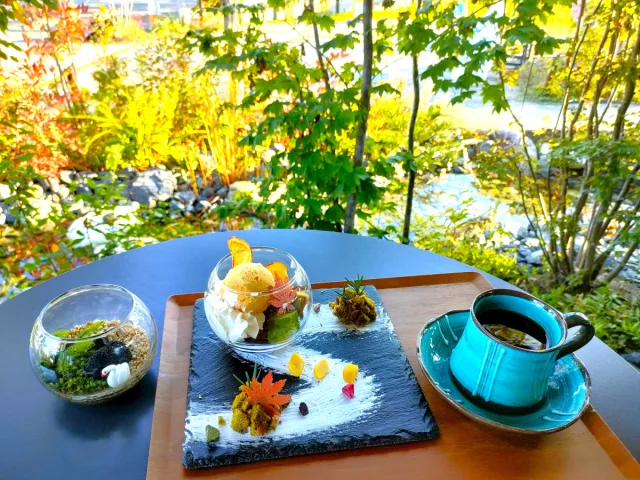 苔テラリウム作ってみよう！緑あふれる空間で「ごゆっくり」過ごすカフェ「5yukuri」／阿賀野市