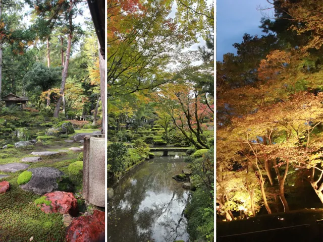 柏崎三大庭園紅葉めぐり｜朝・昼・夜で味わう静かな秋の旅／柏崎市