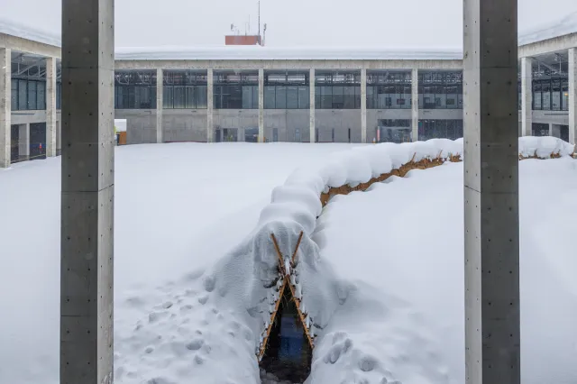 雪に包まれた空間でアートや遊びを体験「越後妻有の冬 2026」/十日町市・津南町