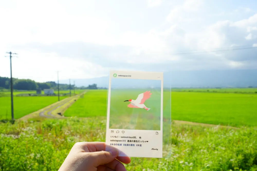 日帰り佐渡旅で素敵な５つのお店を巡ってみた！／佐渡市
