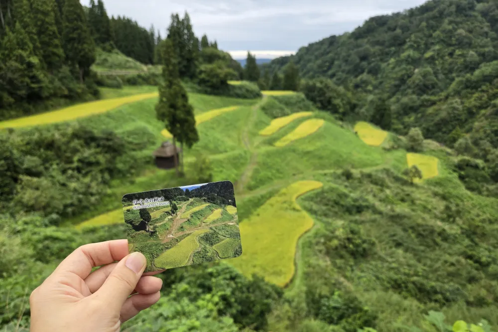 カード片手に宝探し気分！黄金色に輝く絶景と出会う秋の棚田ドライブ／十日町市