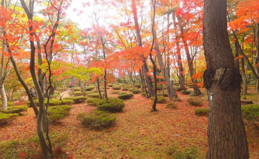 庭園巡りワンデーツアー【秋】