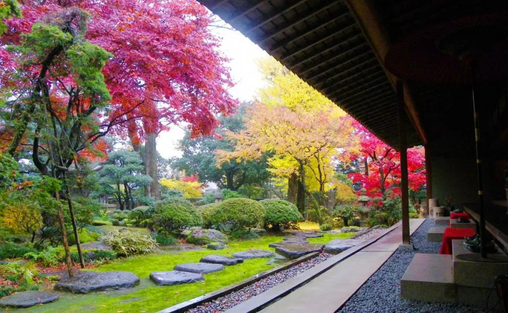 加茂・田上の豊かな自然と美しい景色を堪能する大人旅