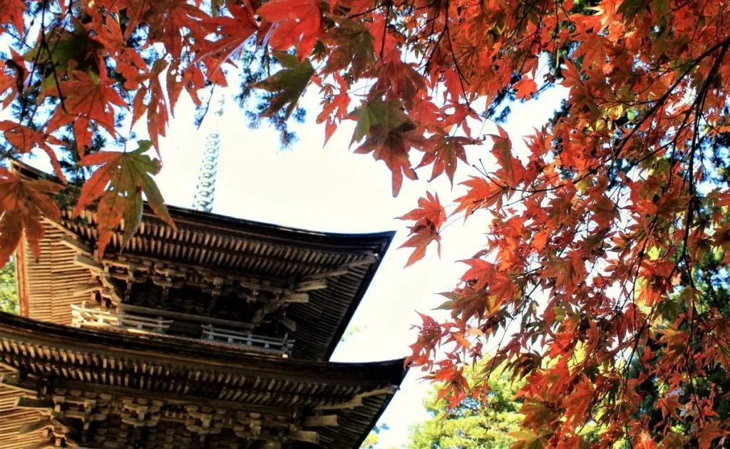 新潟県屈指の古寺「乙宝寺」など歴史的建造物をめぐる！村上・新発田・関川村の2Days