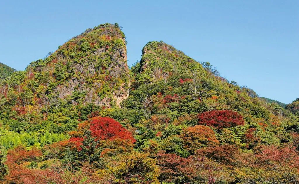 推しカラーでめぐる「にいが旅」-That's Niigata Color Gold-