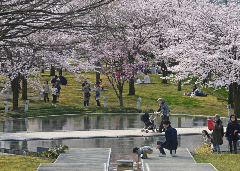 白山公園
