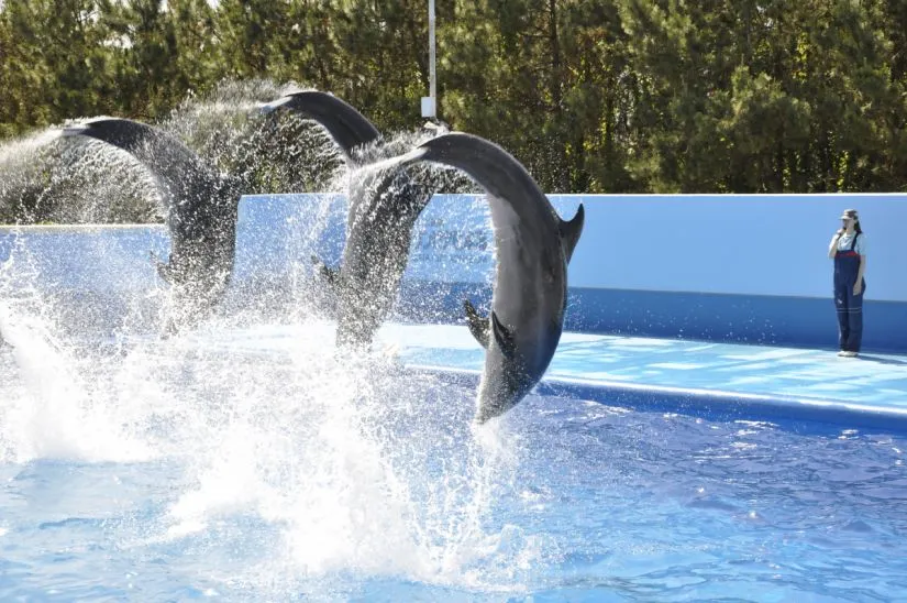 新潟市水族館マリンピア日本海