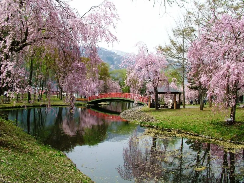 湯沢中央公園