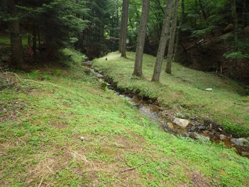 金鶏金山（長野県）
