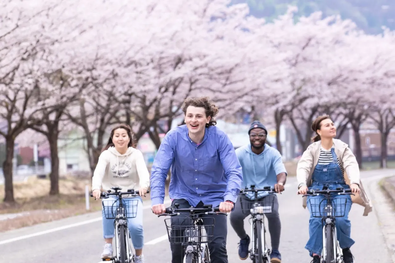 ​観に来るたびに好きになる旅