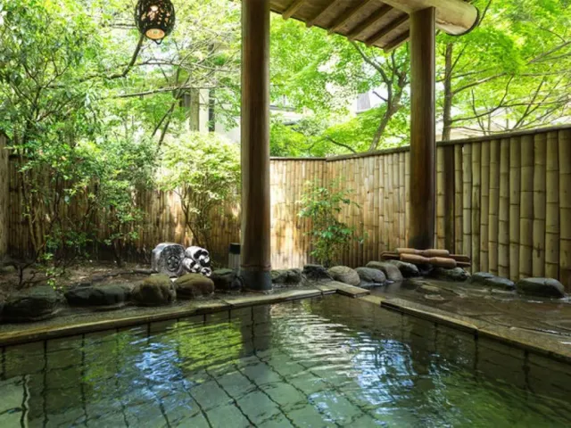 鷹の巣温泉 吊り橋と離れの宿　鷹の巣館