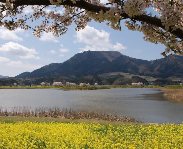 上堰潟公園