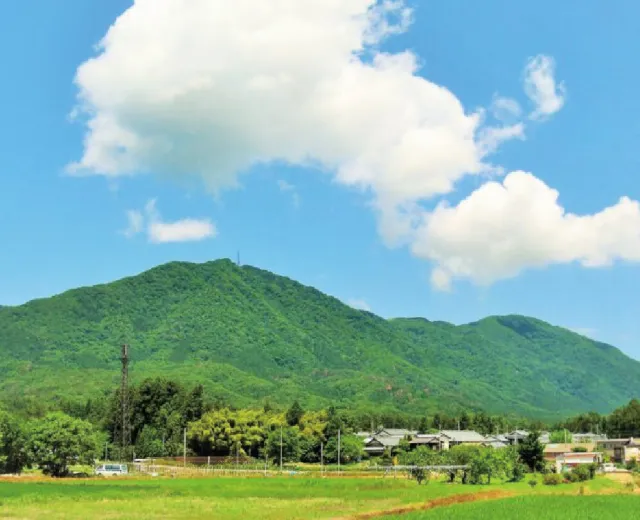 弥彦山