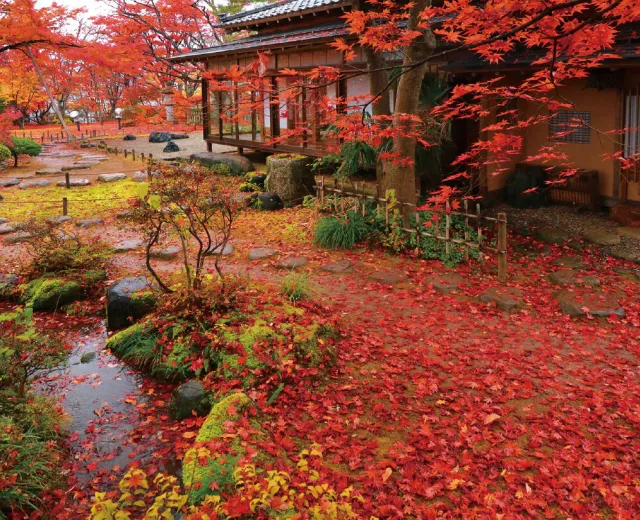02. 越後三大紅葉のうち２か所