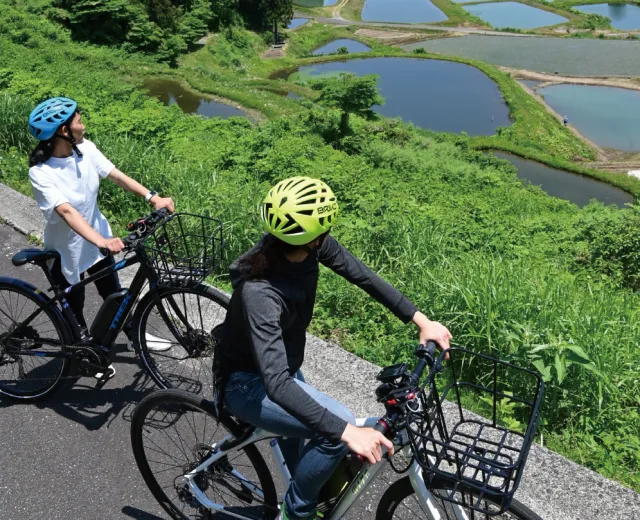 山のお散歩