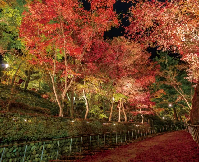 松雲山荘庭園