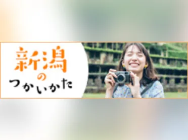 新潟のつかいかた