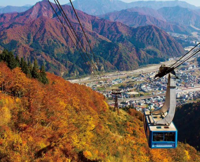 紅葉三昧バスツアー