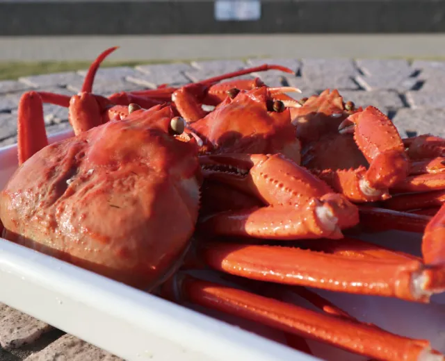 03. フォッサマグナの恵み 日本海の新鮮グルメ