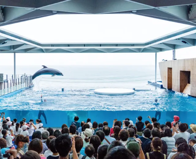 上越市立水族博物館うみがたり