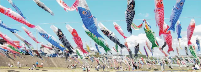 加茂川を泳ぐ鯉のぼり