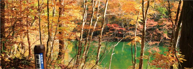 龍ヶ窪の池