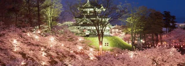 高田城址公園観桜会