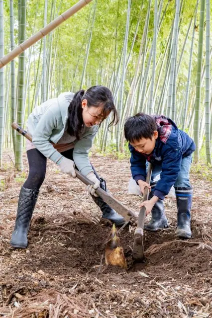 【Niicle(にーくる)会員限定】旬の味覚を楽しむ！たけのこ掘り体験＆湯田上温泉ランチ