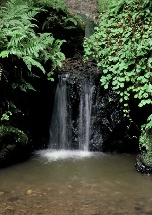 金津の滝（白玉の滝）　雄滝