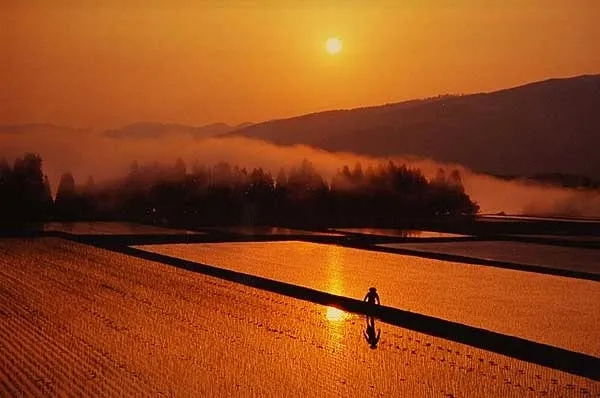 津南町の田園風景