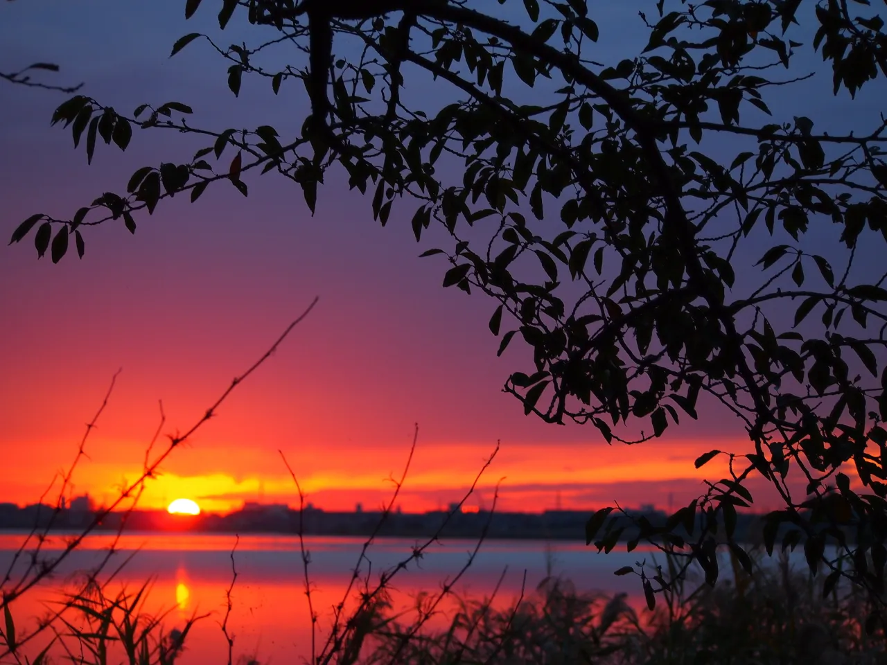 湖に沈みゆく夕日は幻想的な景色