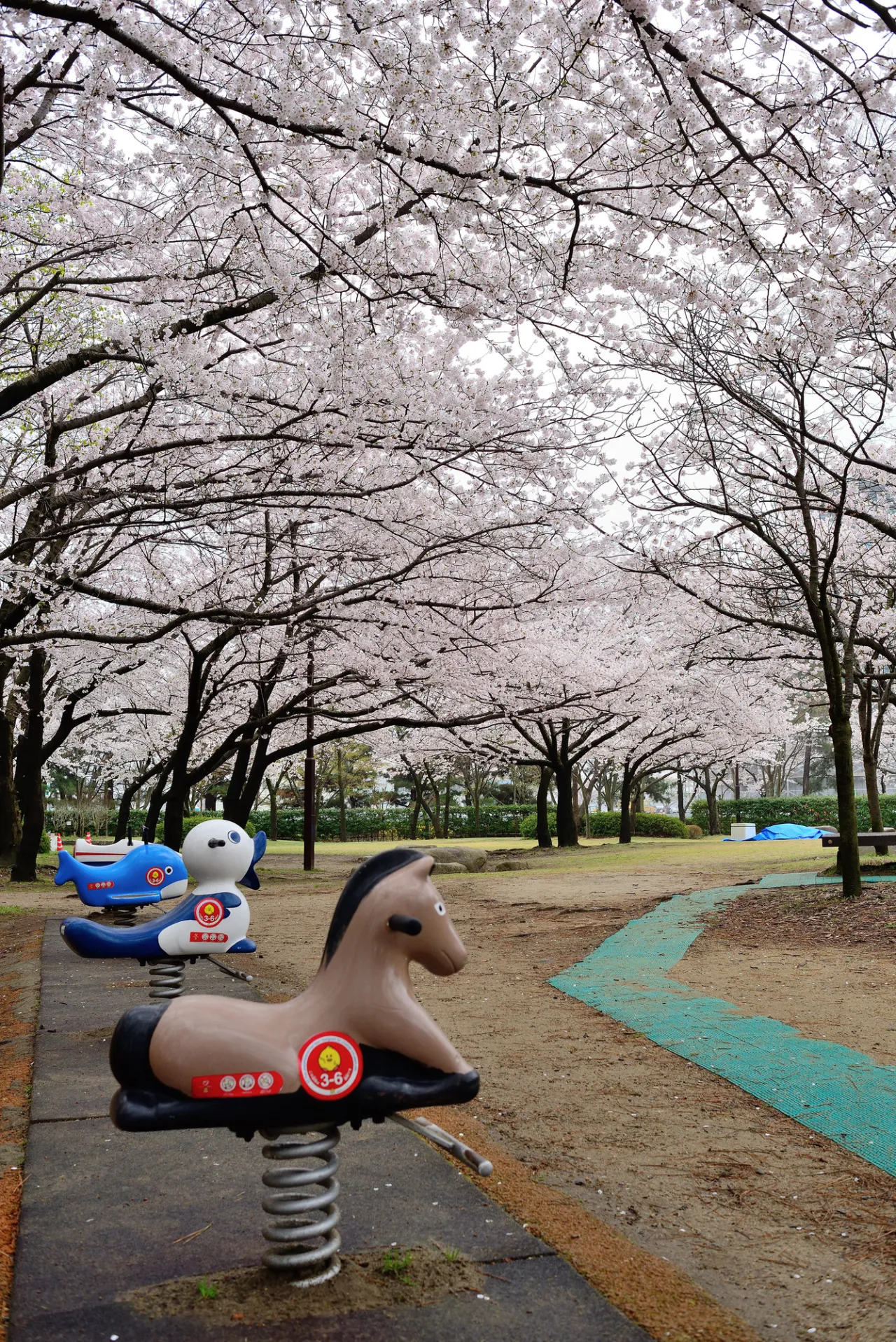 公園内には遊具も。家族で訪れてみては。