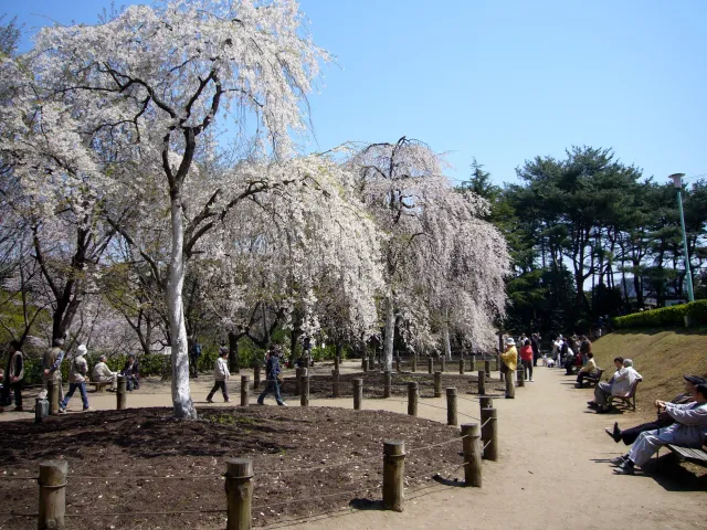 じゅんさい池公園