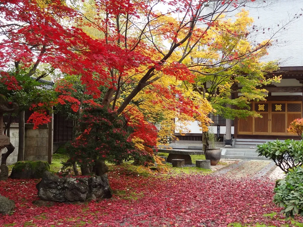 本成寺