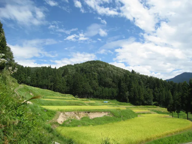 北五百川の棚田