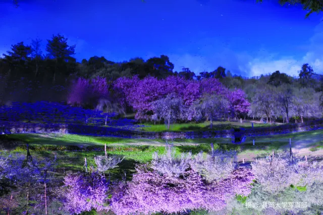 悠久山公園