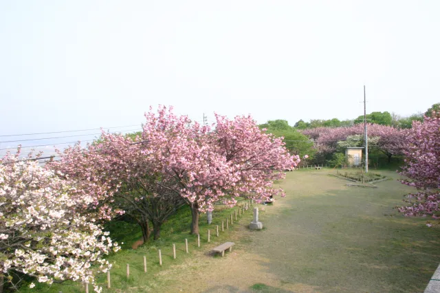 諸上寺公園