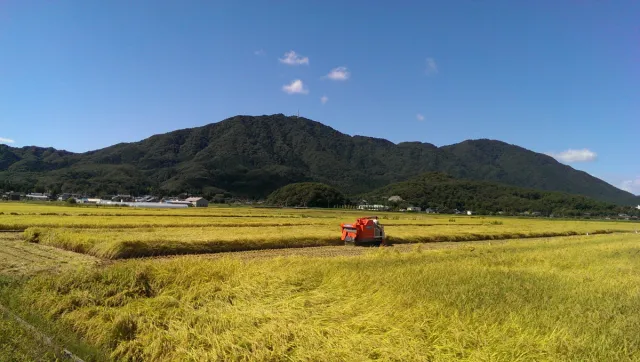 弥彦山