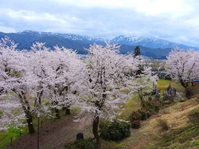 小出公園