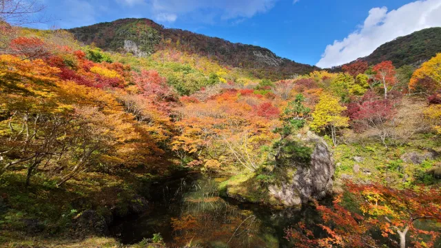紅葉山