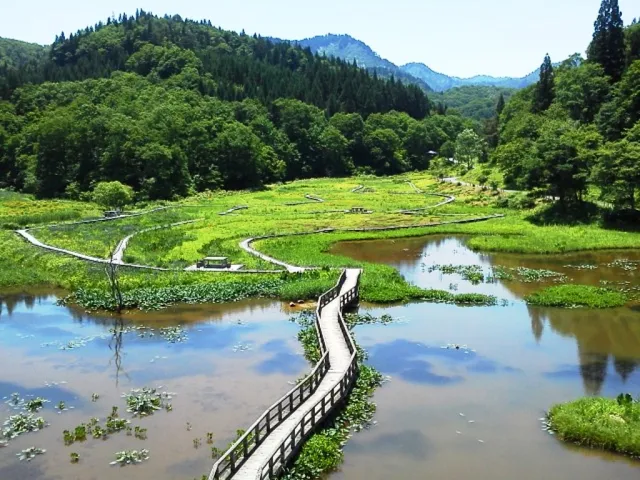 たきがしら湿原