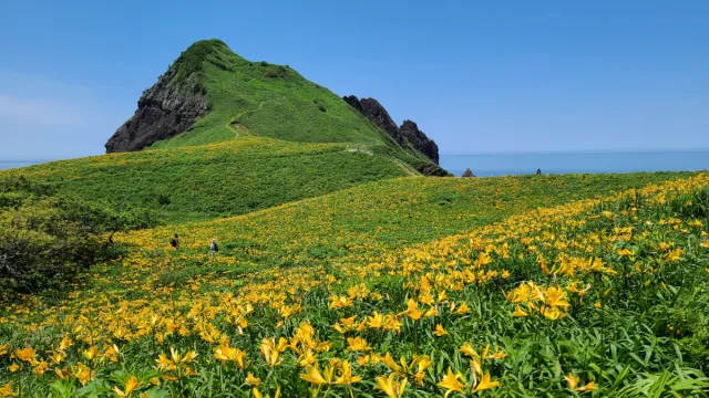 大野亀