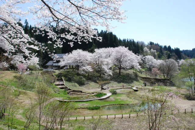 下条川ダム緑地