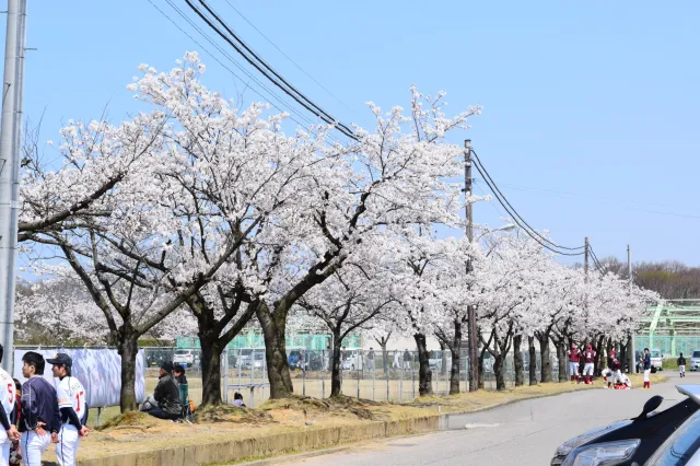 胎内市総合グランド