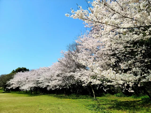 小木城山公園