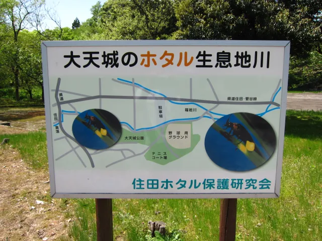 大天城公園