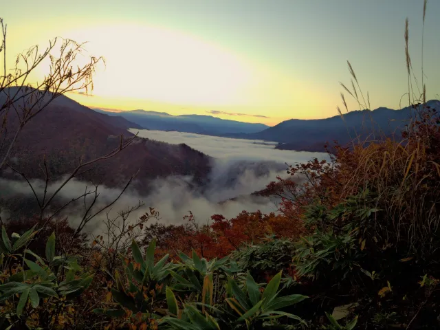 枝折峠周辺(魚沼市)【紅葉の名所】